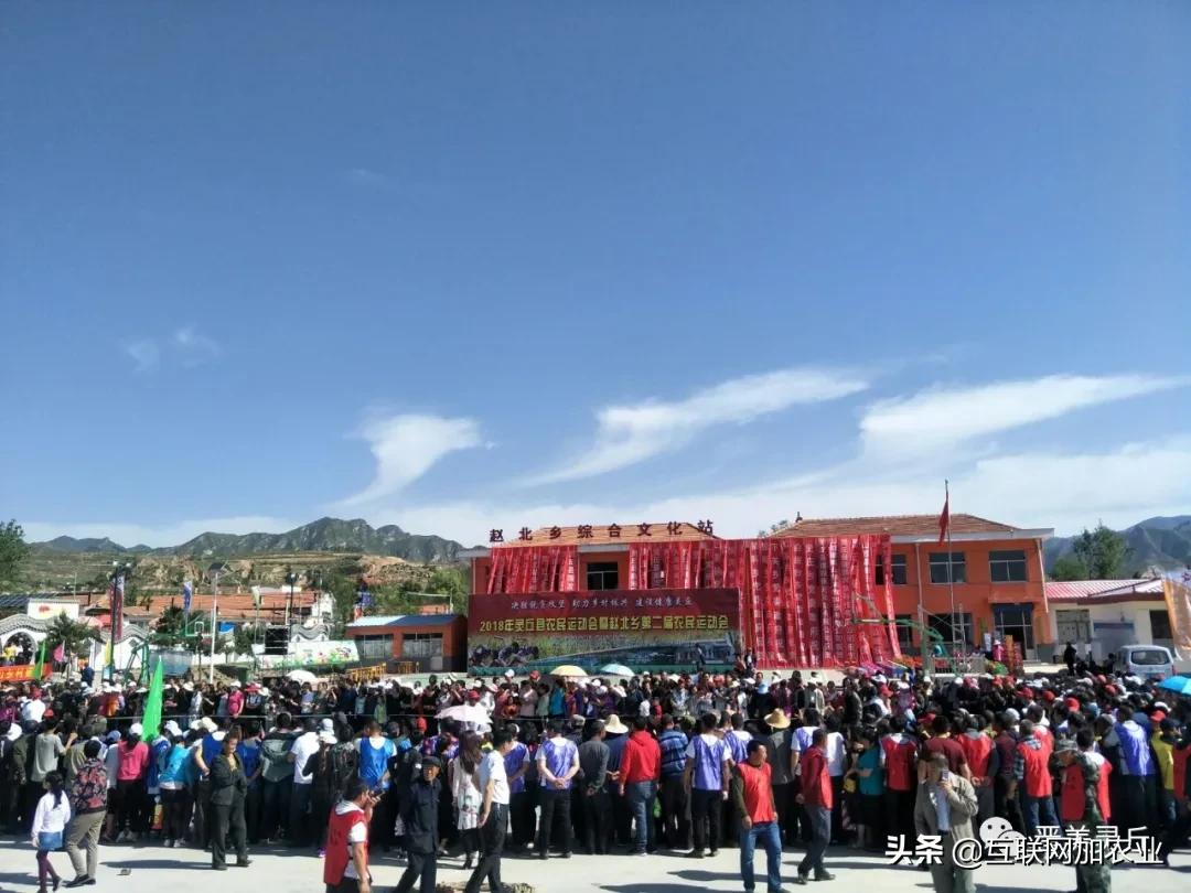 灵丘县赵北乡杀人案,灵北报道视频