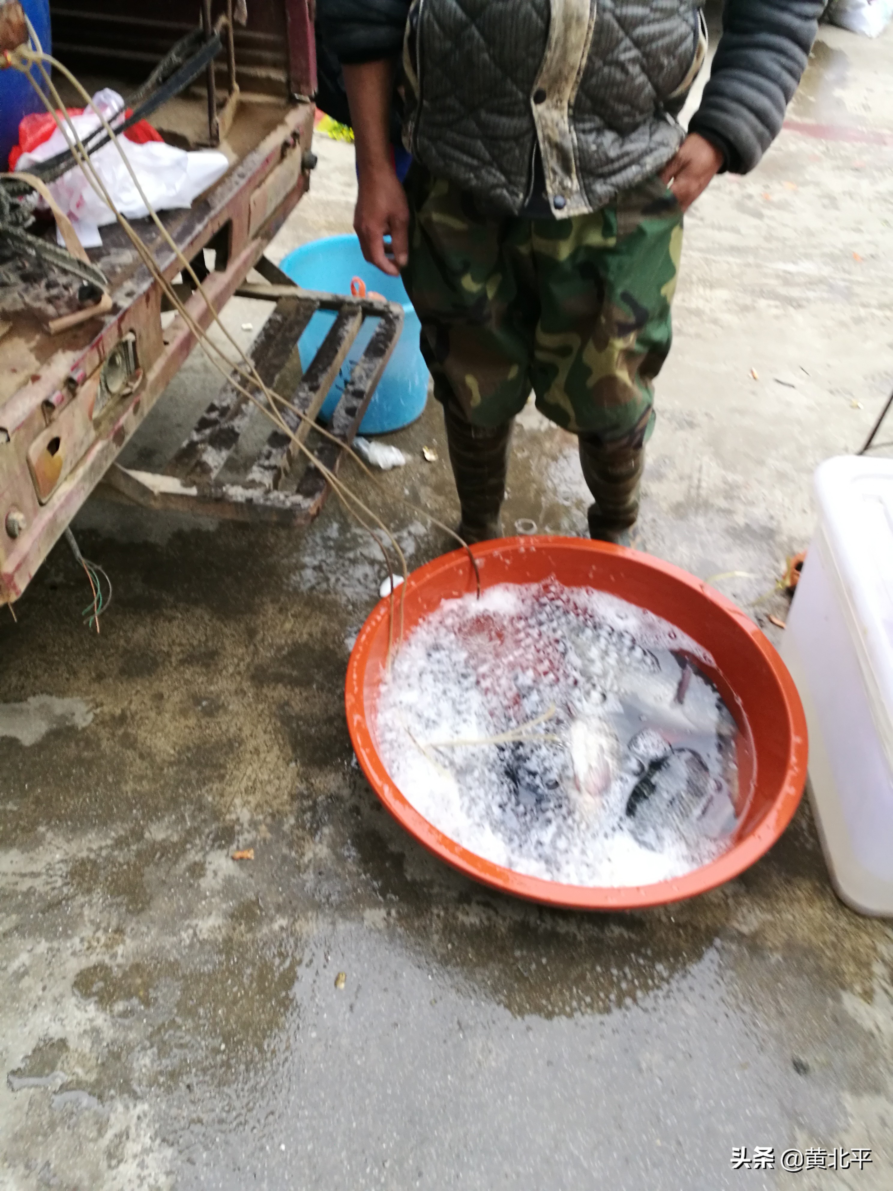 广西南宁市隆安县乔建镇龙扶村,广西南宁市隆安县乔建