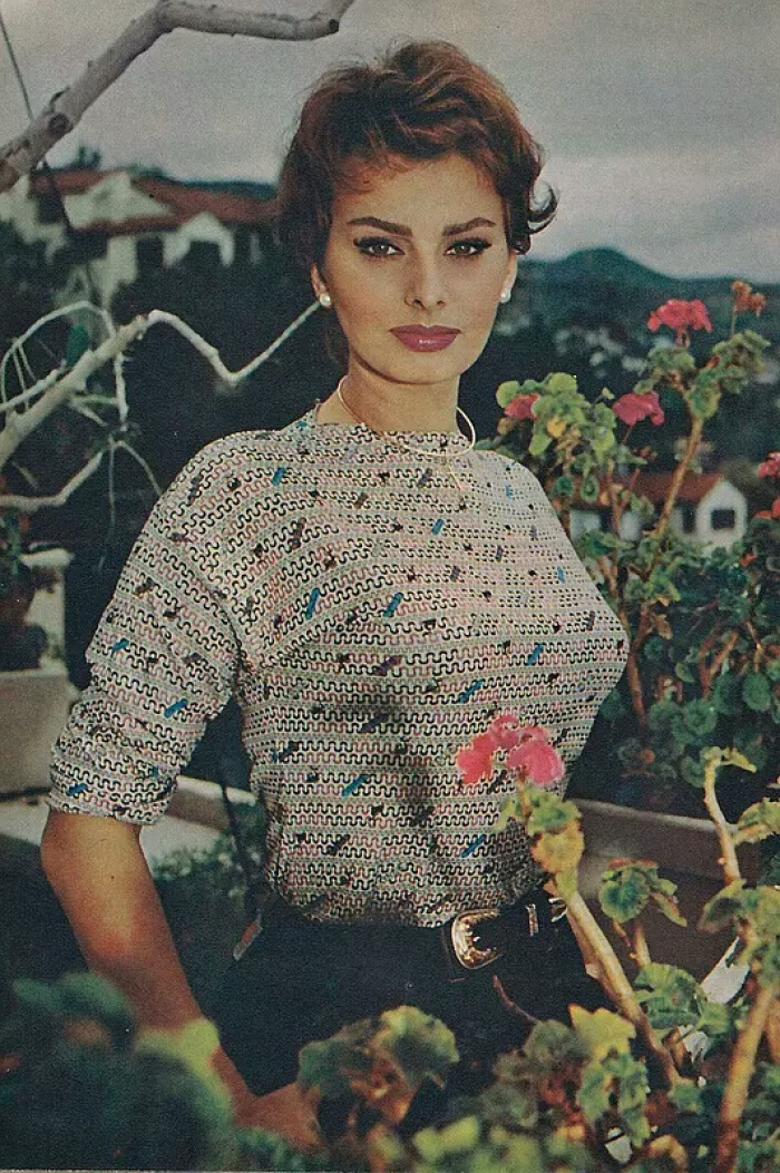 索菲亚罗兰女性特征,索菲亚罗兰年轻时的样子