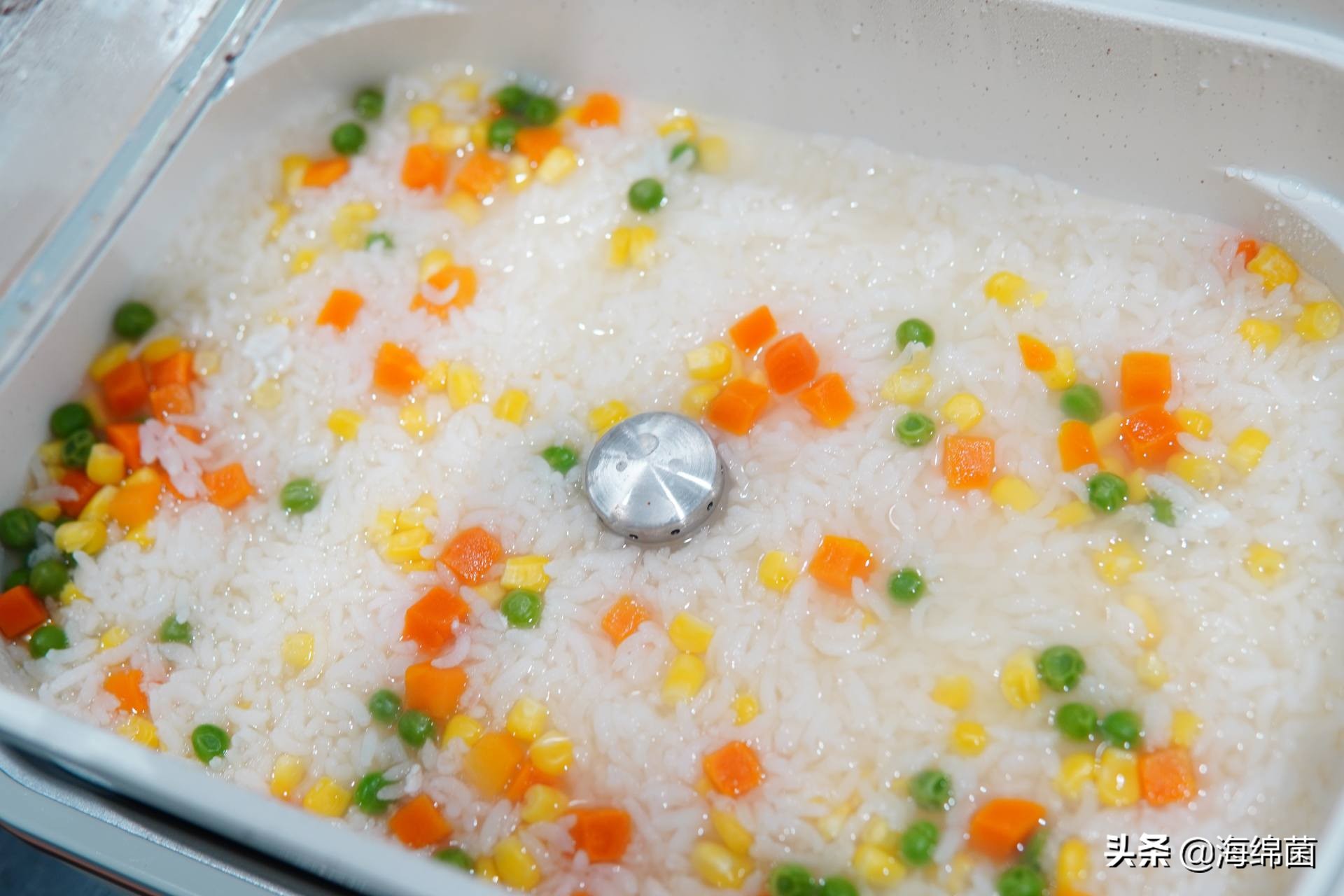 bolali博拉利多功能蒸汽料理锅,蒸汽桑拿锅测评