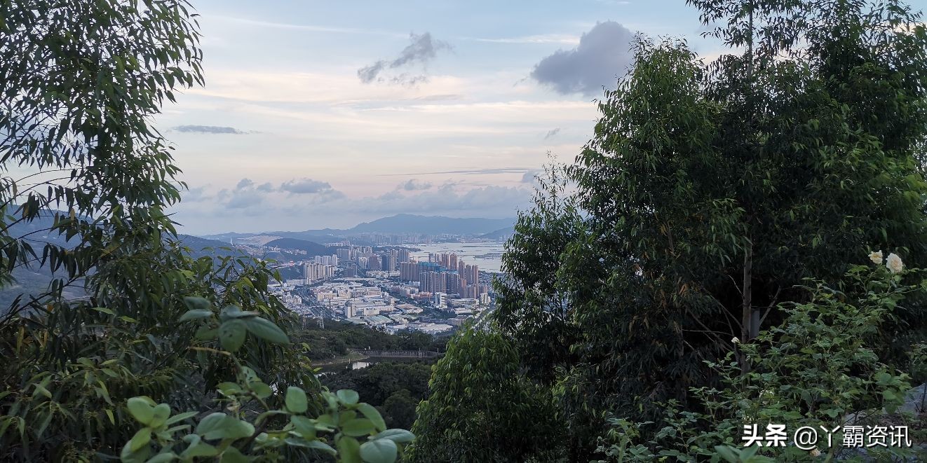 「玫瑰」「玫瑰」酒的遐思「玫瑰」「玫瑰」