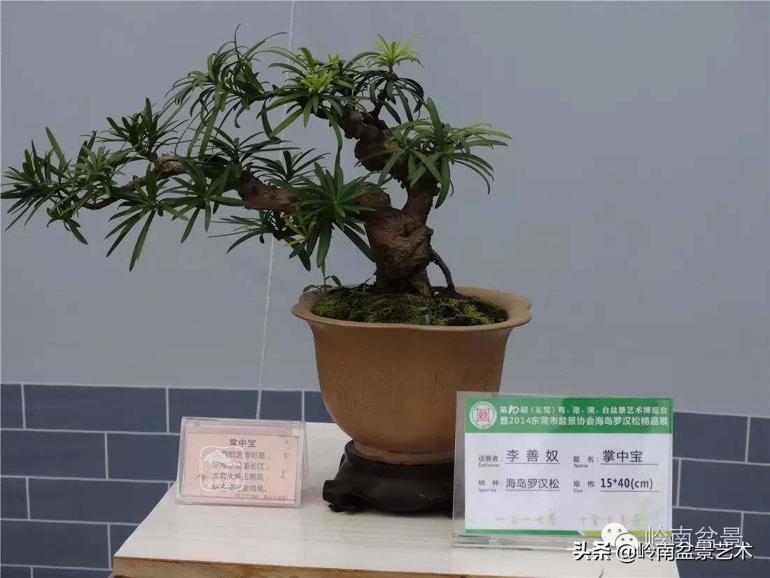 开运招财，非其莫属！清风雅韵，当之无愧！