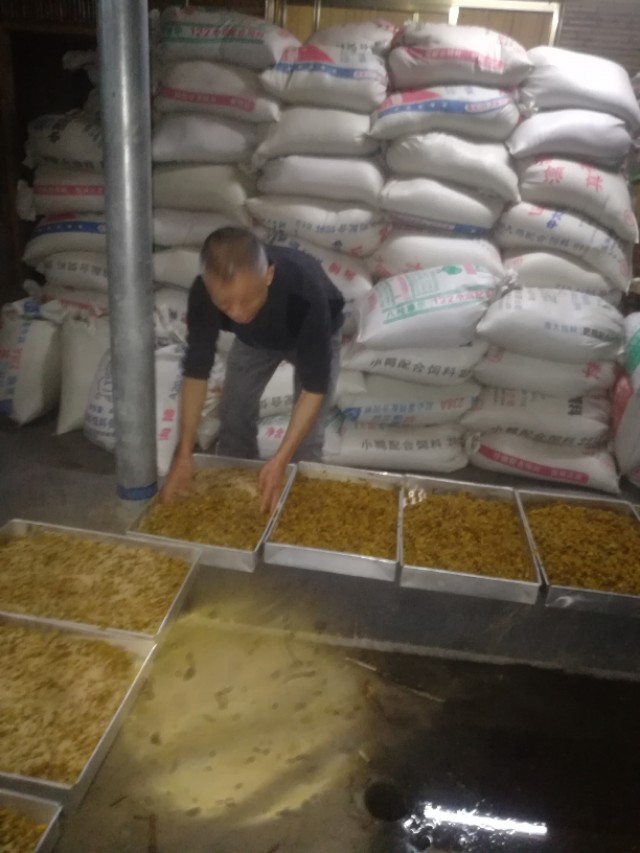 目前最先进的小型全自动酿酒设备,广西全自动酿酒设备哪家好