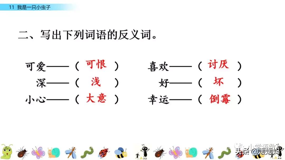 二年级下册我是一只小虫子课后题,二年级下册语文11我是一只小虫子