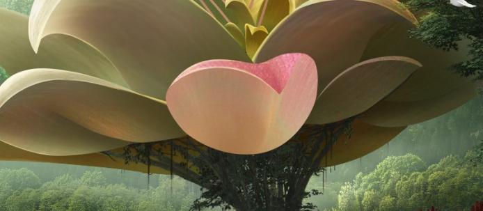 靠谱的素材收集工具,大神们都在用什么软件找素材