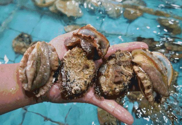 与越南隔河相望,与越南接壤城市旅游