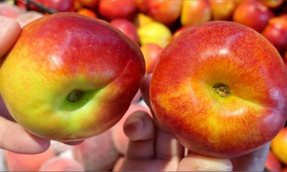 鐖卞悆姘存灉鐨勮鐣欐剰,鐖卞悆妗冨瓙鐨勬敞鎰忎簡