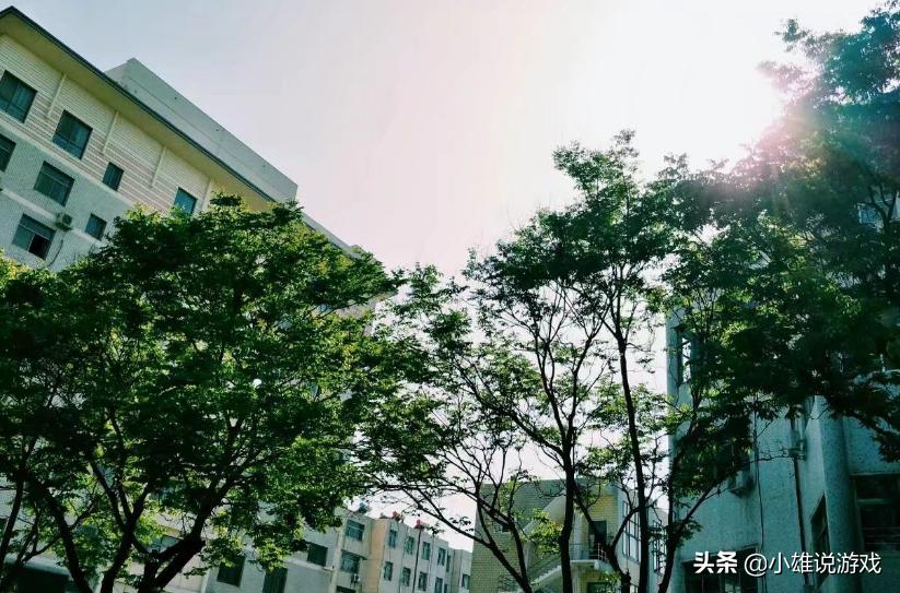 濮阳蓝天电脑学校师资力量,濮阳市最好的几所中学