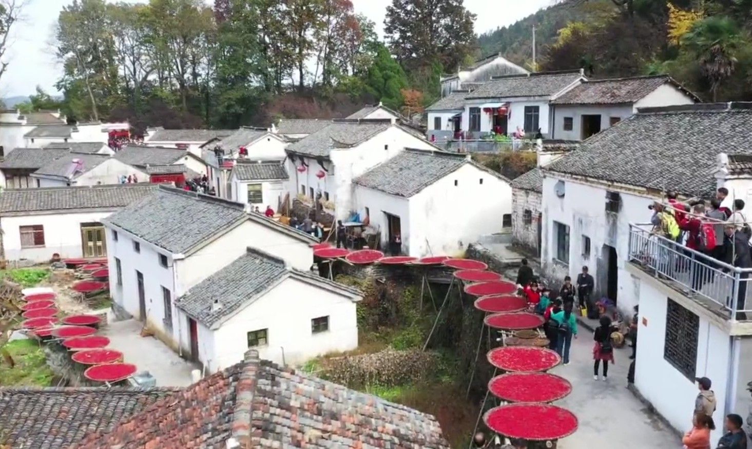 醉美黄山旅游,醉美篁岭古村落