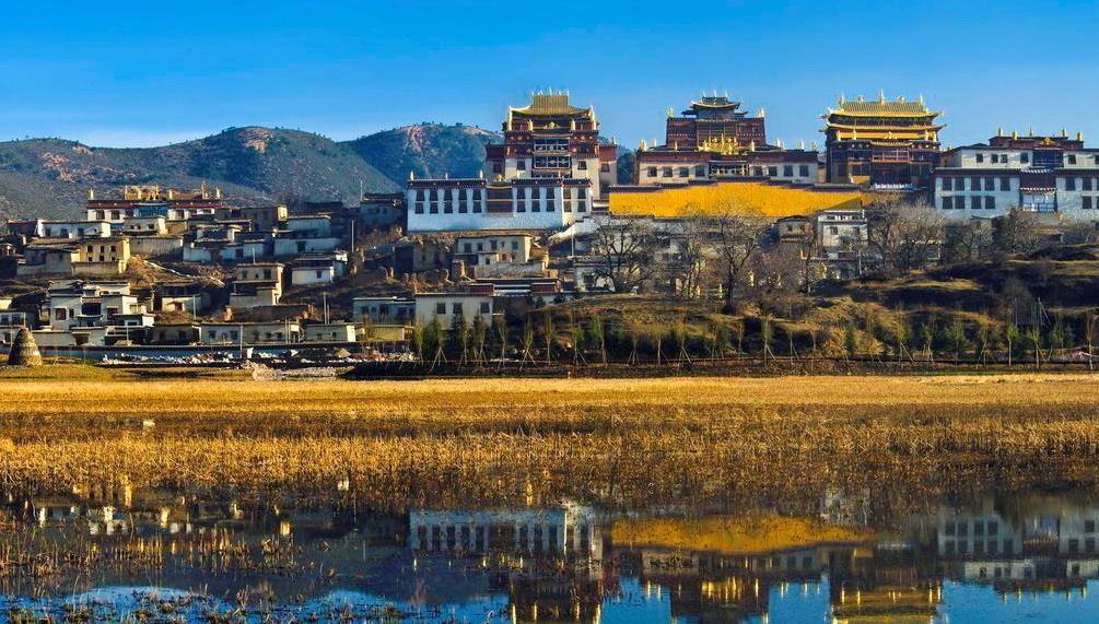 西双版纳旅游被宰客,西双版纳旅游人数下降统计