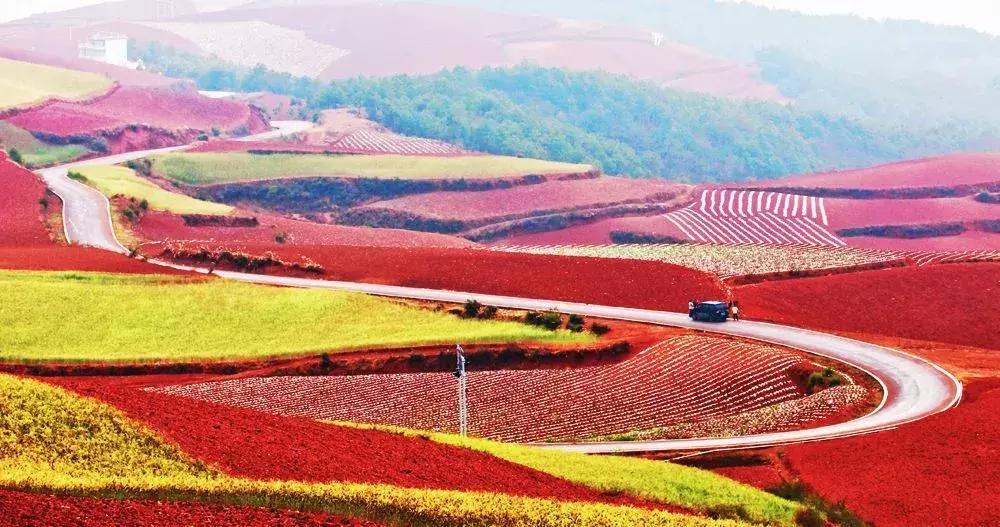 哪怕你去过云南不下10次,秋天的云南都值得你再来一次