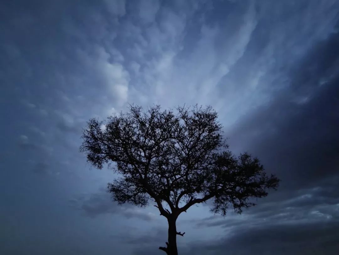 华为p30pro徕卡拍摄,华为p30pro徕卡