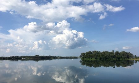 如何进行作文教学小学,如何有效进行小学作文教学