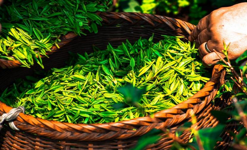 净水器选购技巧和方法,如何选购净水器六步选购法