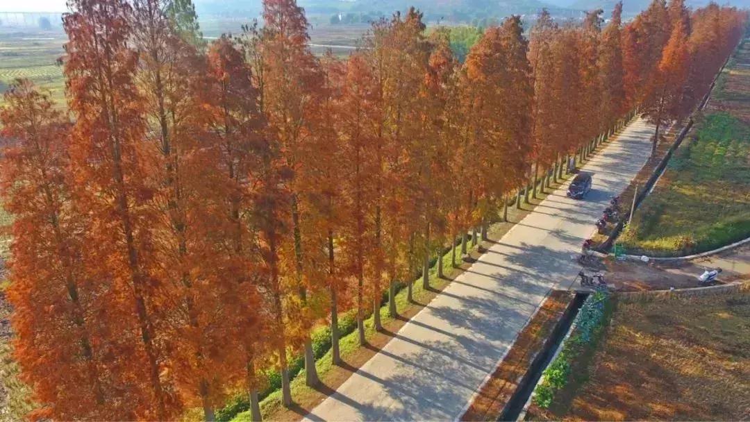 始兴市区游玩攻略,韶关始兴县旅游攻略