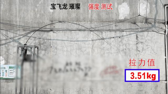 香港怡龙鱼竿和宝飞龙鱼竿哪个好,宝飞龙鱼竿飞龙将军评测视频