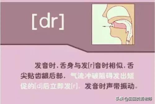 48个英语国际音标发音表图片,英语48个音标发音附详细图解视频