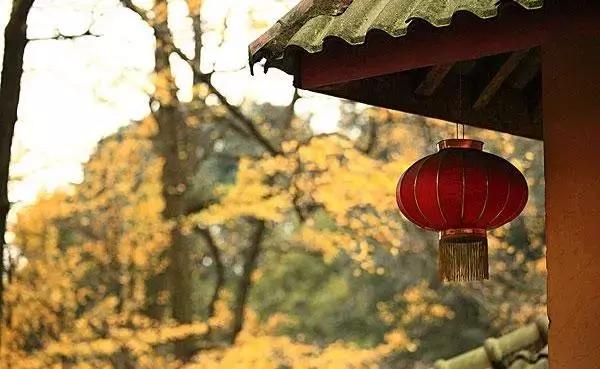 去庙里*拜参**到底能不能给佛像拍照？