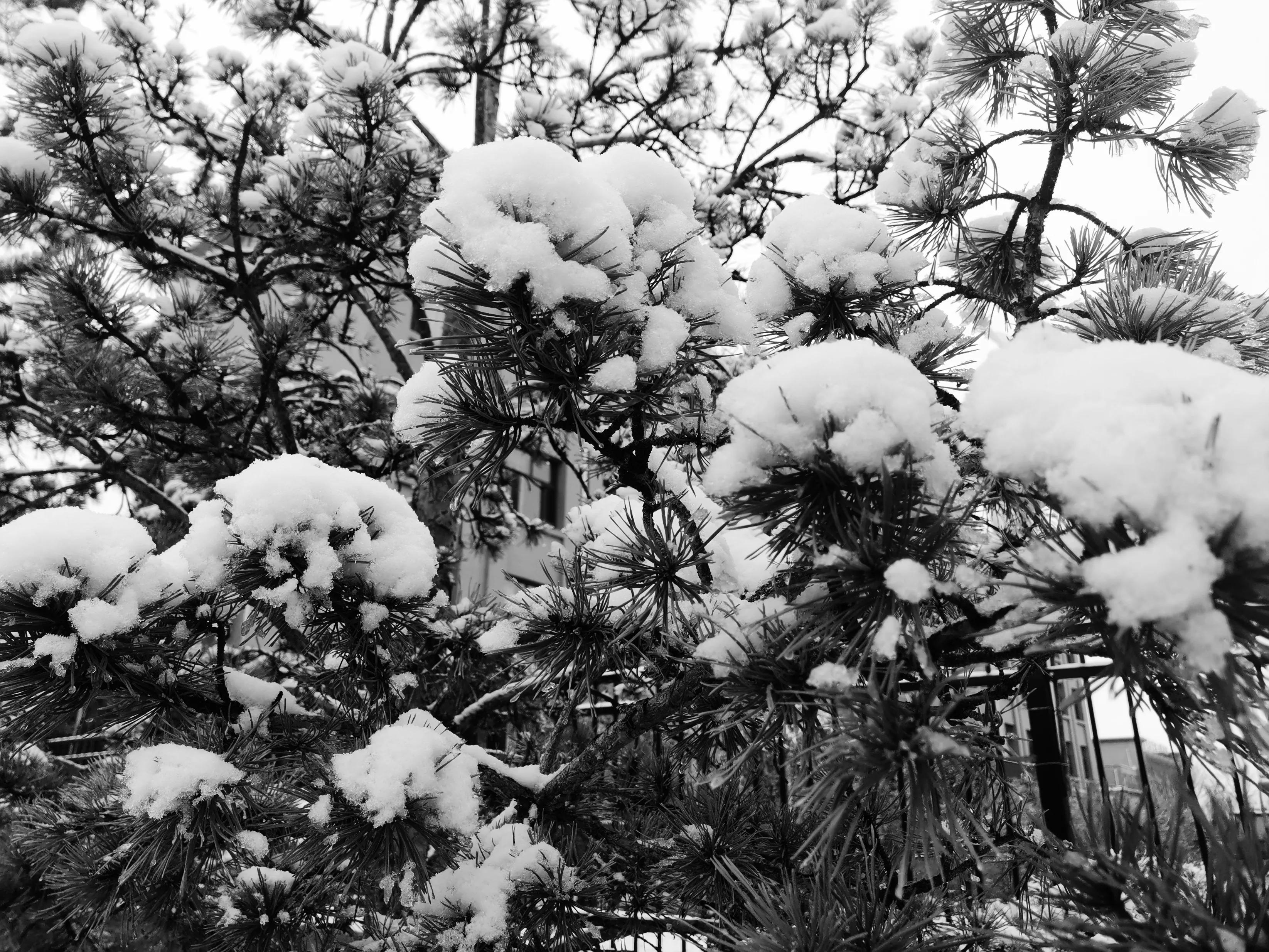 藏在脚下的民间艺术——绣鞋垫儿（郭宏旺）