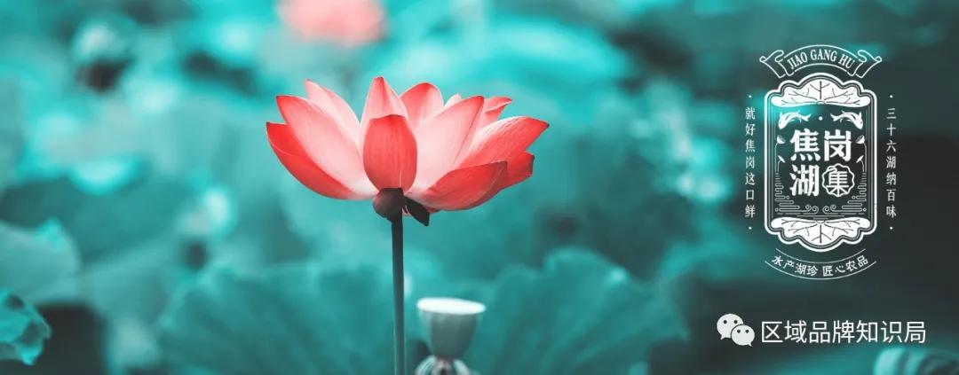 焦岗湖区生态发展共同体——区域公共品牌