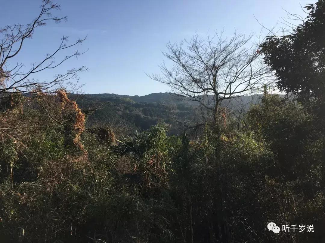 日本熊本县,日本熊本