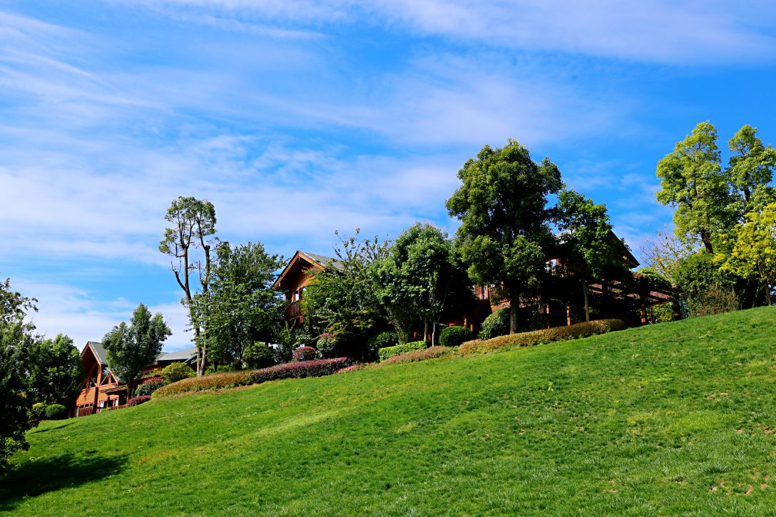 弥勒太平湖森林木屋酒店团购直播,弥勒太平湖森林木屋酒店有温泉