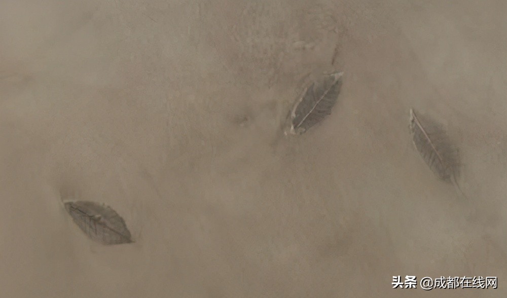 家装涂料哪个牌子好用环保,家装内墙涂料哪个牌子好