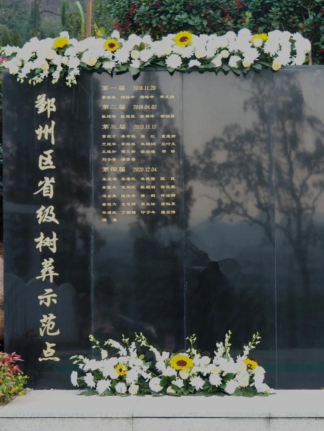 同泰第四届集体树葬圆满举行，21位树葬人士回归自然