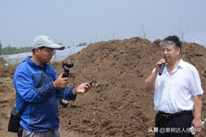 蚜虫防治药剂分析科学选择,小虫之王蚜虫怎么防