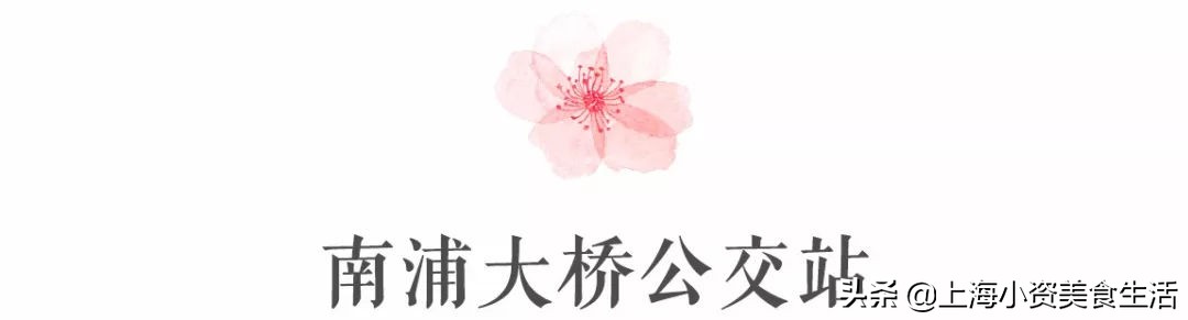 顾村公园一年一度赏樱,顾村公园赏樱点