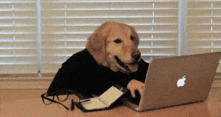 法国雅漾属于几线品牌,雅漾和理肤泉水乳哪个好