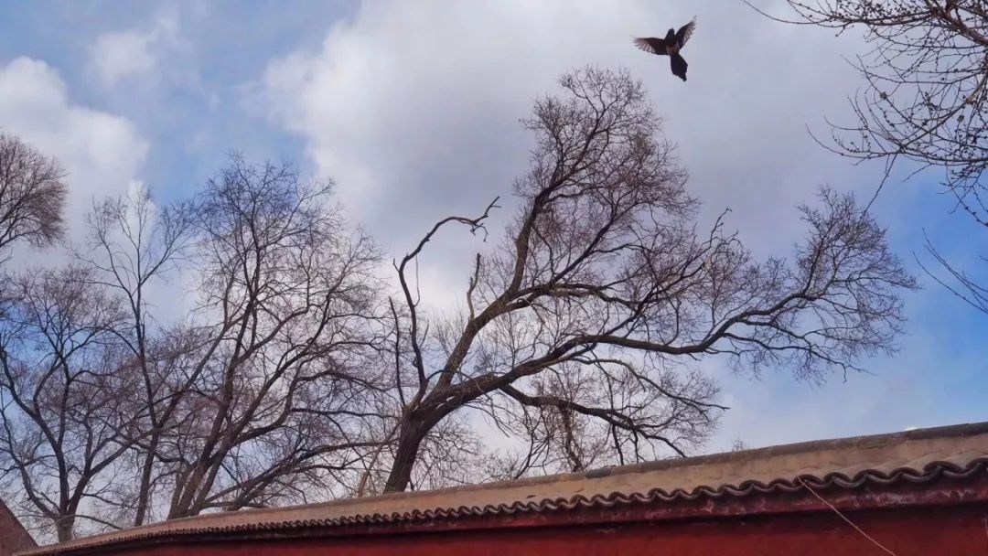 一座神人共栖的“煤都”