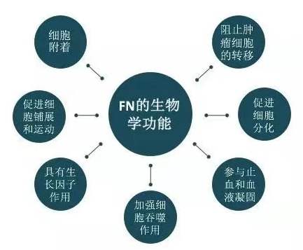 纤连蛋白焕颜精粹水,纤连蛋白在国内第一款护肤品