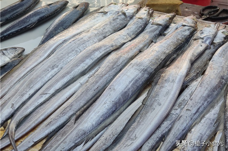 喜欢吃鱼，聪明人就买这5种，便宜营养，主要目前没有人工养殖