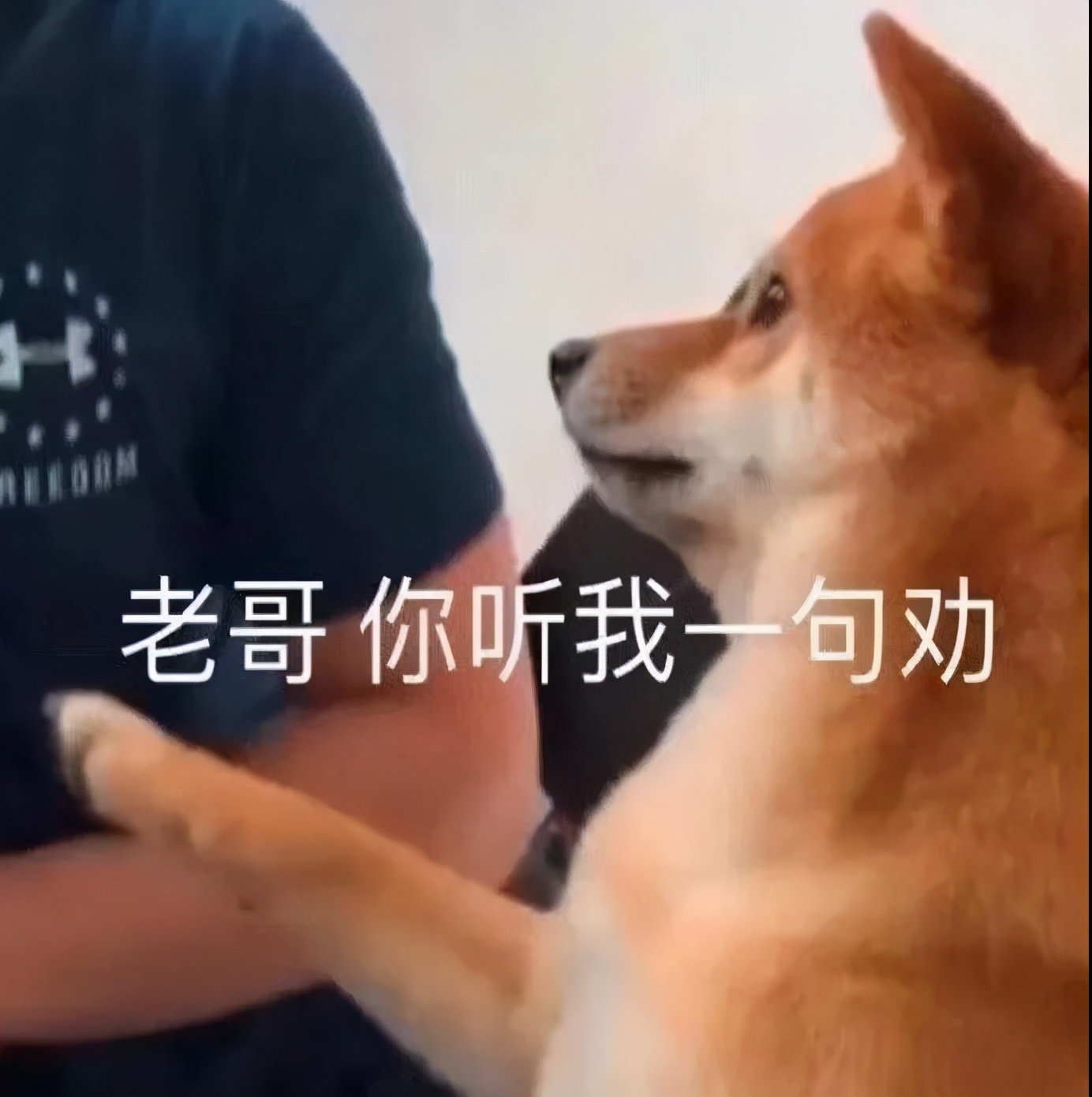 关于刷酸的那些事,刷酸的话题