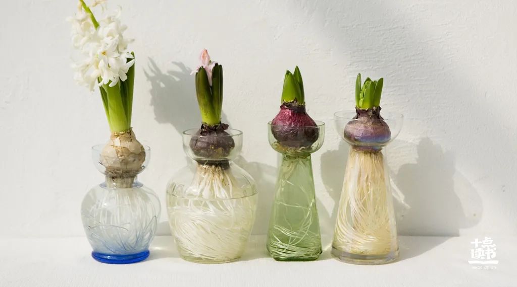 经常步行和不步行的人区别,经常步行的人会有什么变化