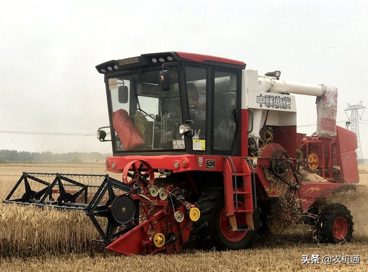 新疆8号小麦收割机,新疆8号小麦收割机收割视频