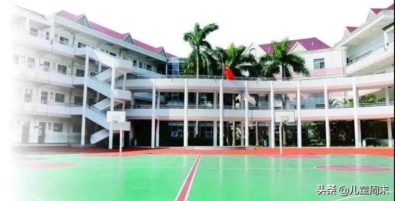 深圳龙岗十大民办小学排名,深圳南山区十大公立小学