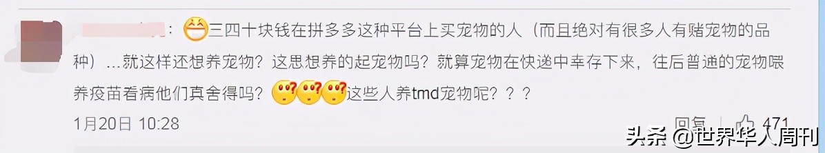 宠物生命当“惊喜”：鲜血淋漓的活体盲盒，成了当代年轻人的新宠