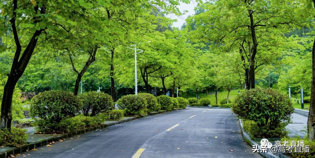 深圳最好的深职院校,深职院全国排第一专科大学