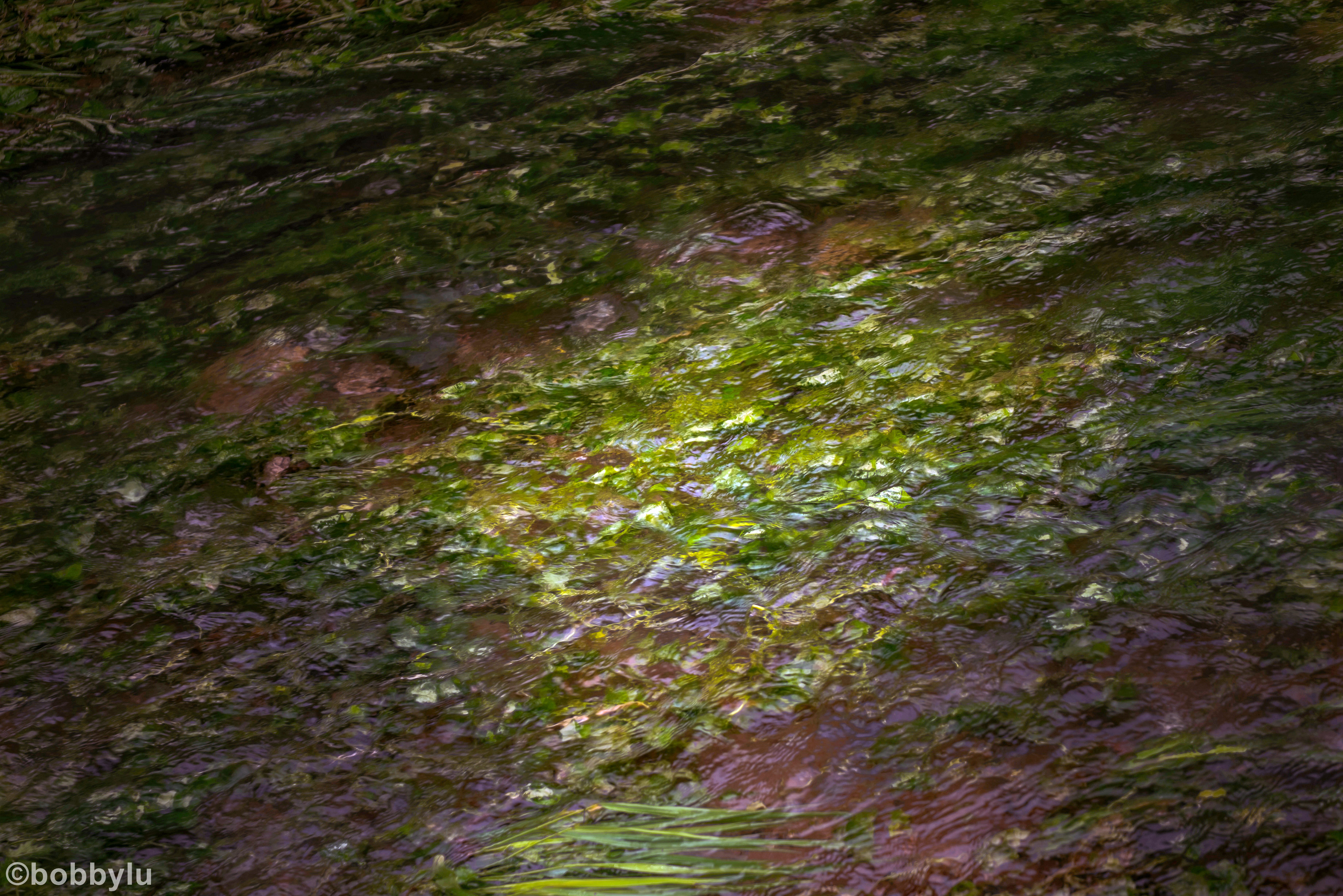 隐藏在深山里的网红景点,隐藏深山古村堪称世外桃源