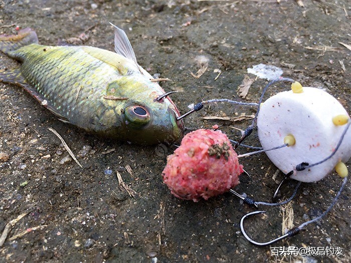 自制钓鱼钩钓鱼技巧,自制朝天钩钓鱼小窍门