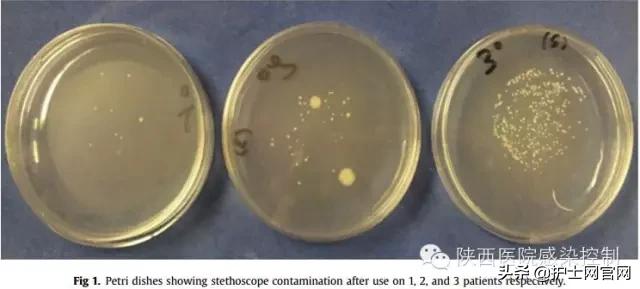 护士长，你们科室的听诊器膜消毒了吗？