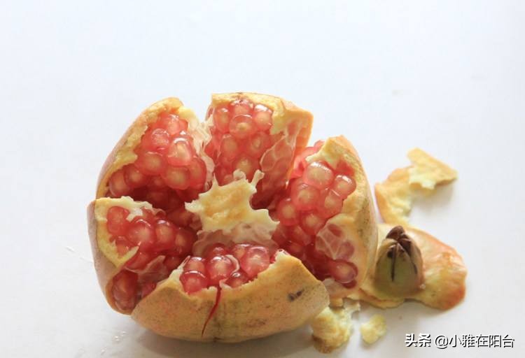 为什么石榴开花有早开有晚开花呢,石榴盆景多开花的技术有哪些方法