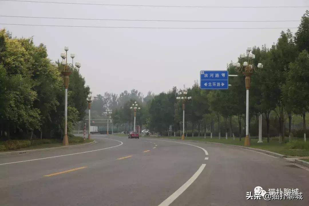 聊城北环花卉市场批发玫瑰鲜花吗,聊城最大的花卉市场