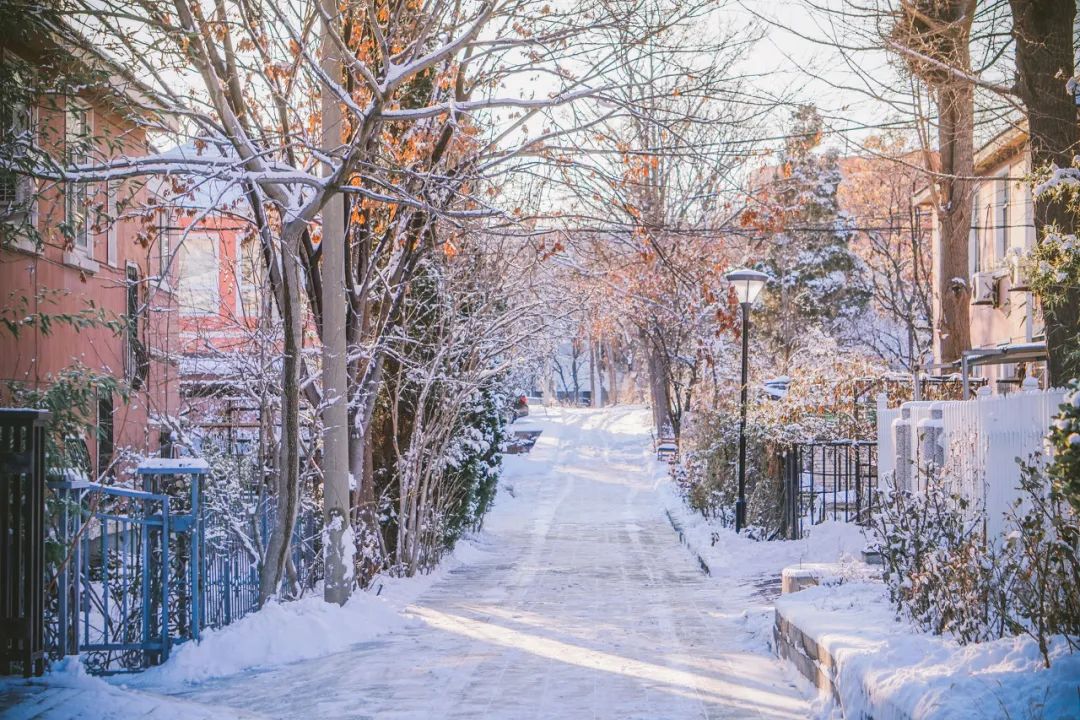 去大连海边玩一趟要多少钱,去海滨城玩有什么攻略