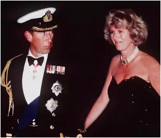 戴安娜穿裙子的视频,戴安娜王妃捡拐杖