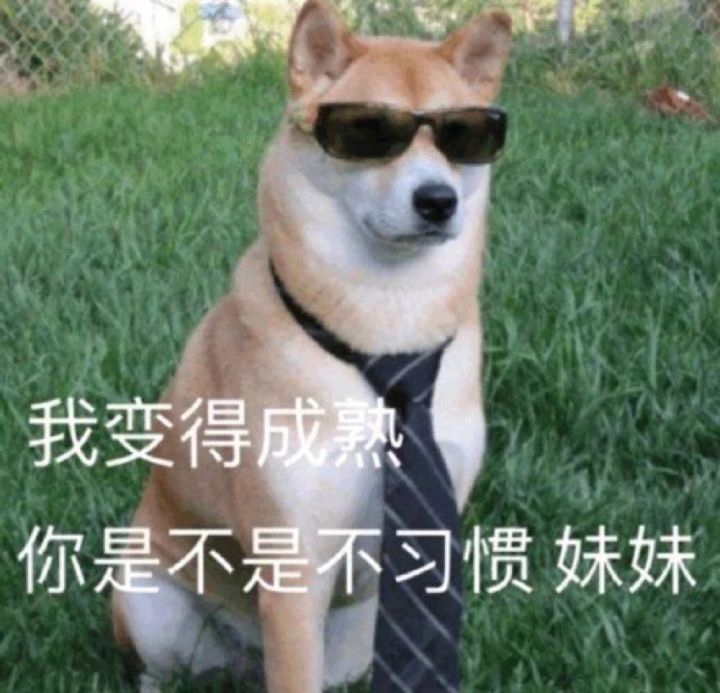 塞尔达传说旷野之息林克的骚操作,塞尔达传说旷野之息林克的技能