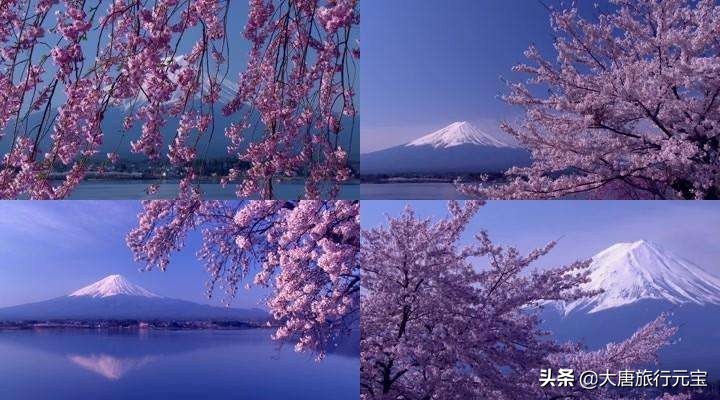 日本景点好玩好吃好看,去日本有哪些好吃的和好玩的
