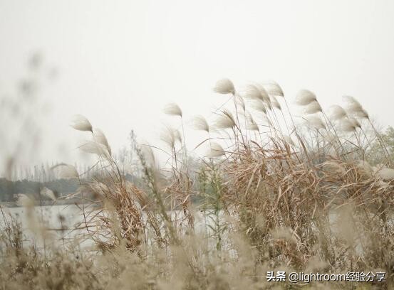 摄影光线运用,摄影拍出风的效果